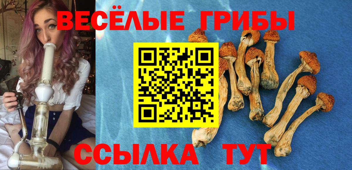 Галлюциногенные грибы мицелий  Вход с VPN  Тихорецк 